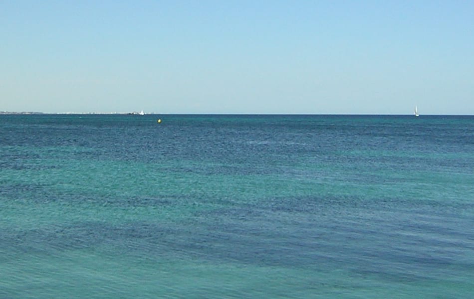 Director general de Medio Ambiente y Mar Menor, “Esta Semana Santa 2019 veremos un Mar Menor muy transparente”