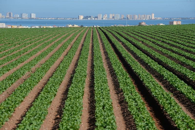 Los agricultores en la zona del Mar Menor rechazan el cierre de los pozos
