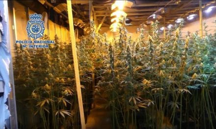 12 miembros de una red de ciudadanos vietnamitas que cultivaban marihuana en Albacete y Murcia