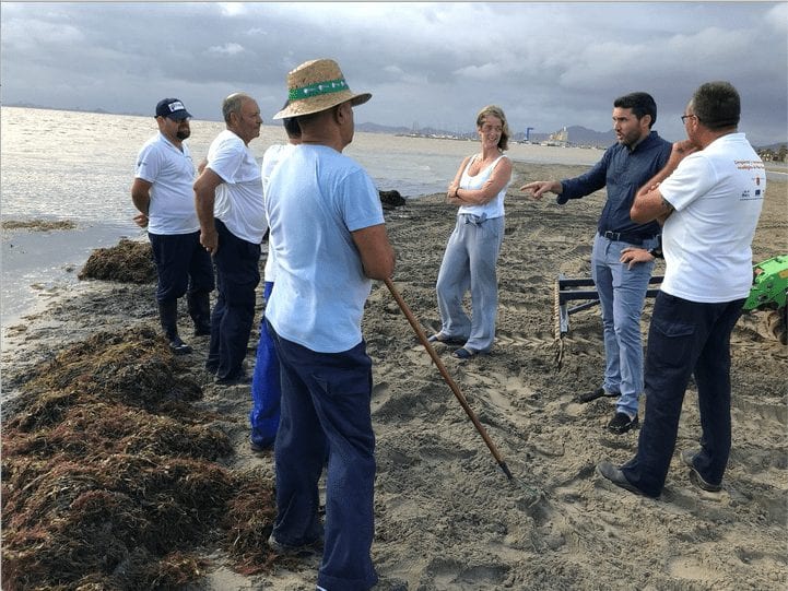Las brigadas de limpieza del Mar Menor retiran 450 metros cúbicos de algas y residuos orgánicos de aguas de la laguna salada