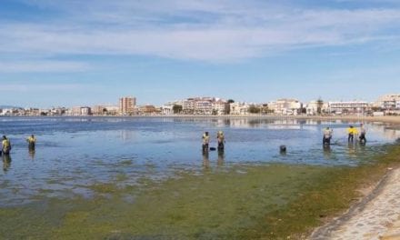 Retirado un manto de algas en el Mar Menor
