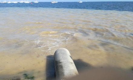 Greenpeace se persona por los vertidos al Mar Menor en el “caso Topillo”