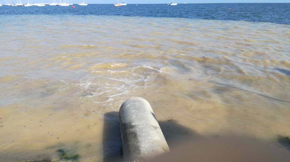 Greenpeace se persona por los vertidos al Mar Menor en el “caso Topillo”