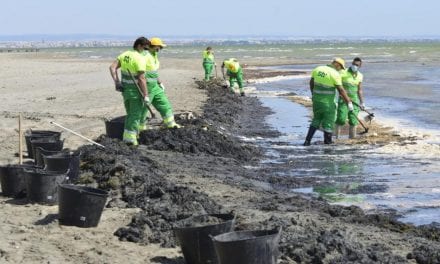 La gran cantidad de algas en las playas del Mar Menor eleva la incertidumbre para el verano 2020