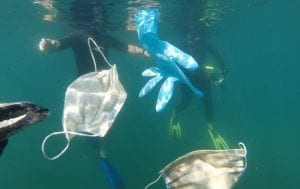 Pronto habrá más mascarillas que medusas en las aguas del Mediterráneo