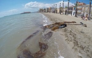Brigadas de inspección de fondos submarinos limpiarán las playas Carrión y Manzanares en Los Alcázares