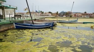 El Colegio de Ingenieros Agrónomos de la Región de Murcia delimitan las zonas del Mar Menor donde hay que actuar de urgencia
