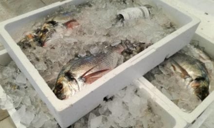 Los consumidores muestran su desconfianza al comprar pescado del Mar Menor