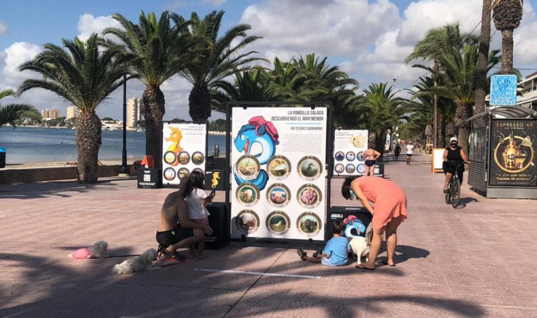“La Pandilla Salada, descubriendo el Mar Menor” la primera exposición interactiva urbana itinerante