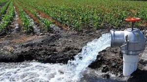 Un nuevo proyecto reconvertirá las aguas de pozo para aprovecharlas en regadío en el Campo de Cartagena
