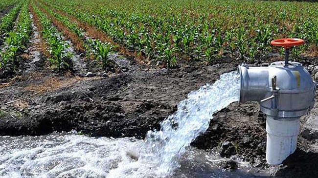 Un nuevo proyecto reconvertirá las aguas de pozo para aprovecharlas en regadío en el Campo de Cartagena