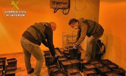 La Guardia Civil desmantela un punto de cultivo de marihuana en La Manga del Mar Menor