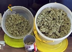 Nuevo golpe al cultivo ilícito de marihuana en la zona del Mar Menor