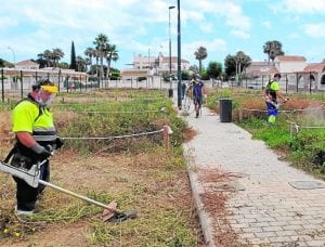 Las quejas vecinales obligan al ayuntamiento de Los Alcázares a limpiar y adecentar los huertos urbanos