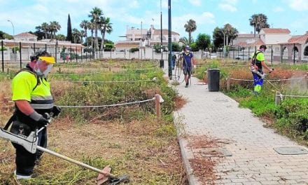 Las quejas vecinales obligan al ayuntamiento de Los Alcázares a limpiar y adecentar los huertos urbanos