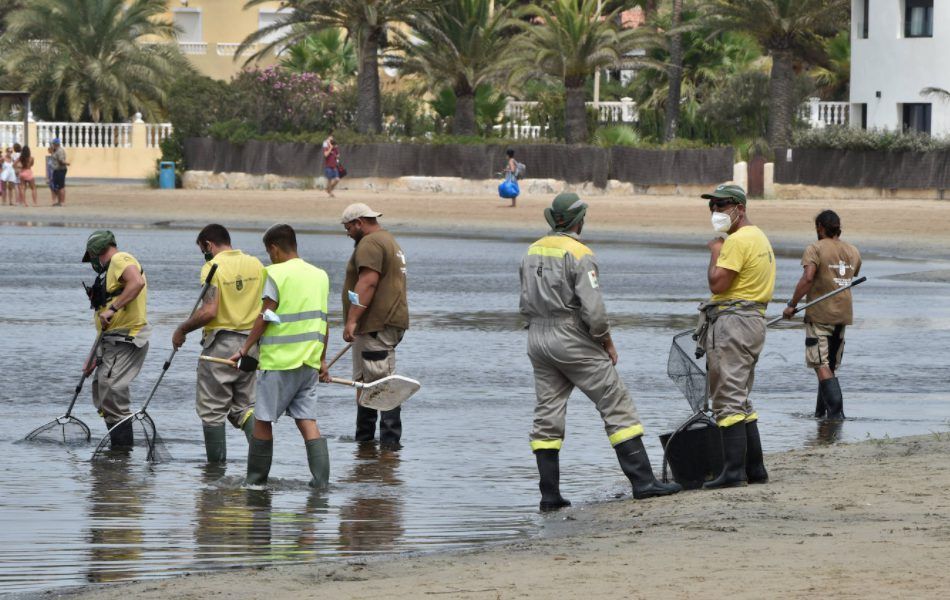 El Gobierno de España baraja la declaración de zona catastrófica para el Mar Menor