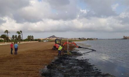 La retirada de biomasa en las playas del Mar Menor
