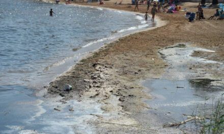 Vecinos y turistas lamentan la imagen que ofrece el Mar Menor, la laguna salada de Murcia