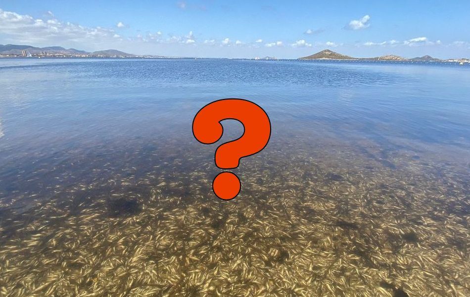 ¿Es seguro bañarse en el Mar Menor, la laguna salada de Murcia?