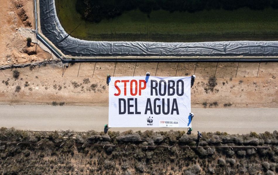 WWF despliega una pancarta en el Mar Menor contra el robo de agua