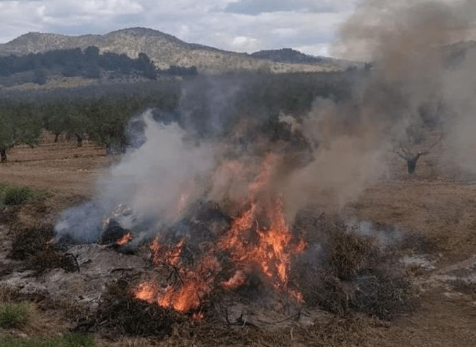 Los agricultores de Murcia se enfrentan a multas millonarias por las quemas agrícolas
