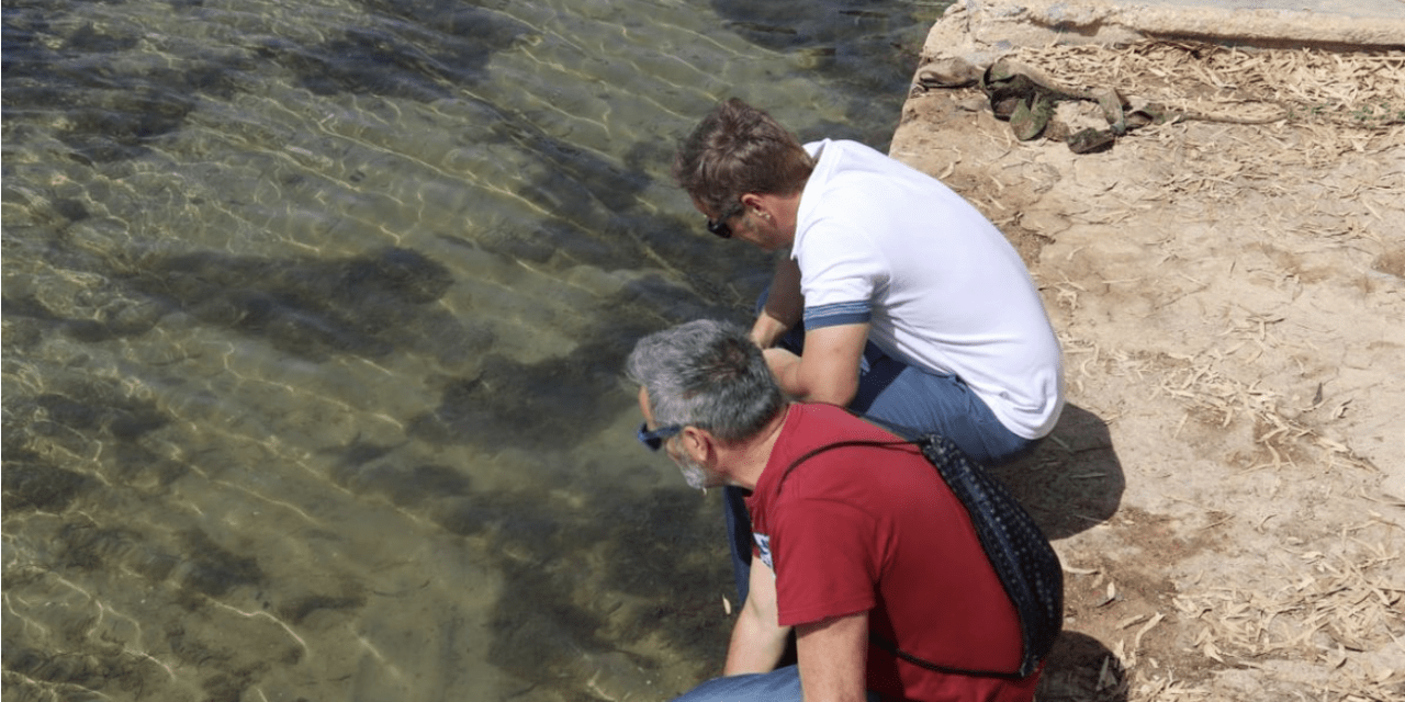 Podemos Murcia exige la dimisión de Antonio Luengo tras la nueva aparición de peces muertos en el Mar Menor