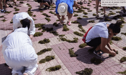 Mar Menor: el mal estado de la laguna salada marca el Dia Mundial del Medio Ambiente