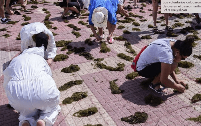 Mar Menor: el mal estado de la laguna salada marca el Dia Mundial del Medio Ambiente