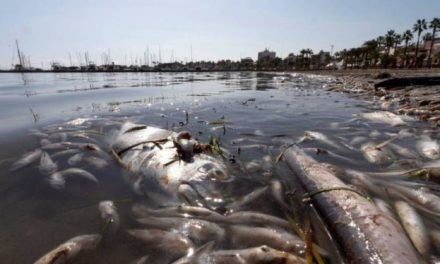 Un informe demuestra que la situación del Mar Menor se debe a las aguas residuales, no a la agricultura