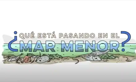 Un vídeo explica el estado actual del Mar Menor
