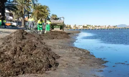 Un plan de choque para garantizar la limpieza de las playas del Mar Menor